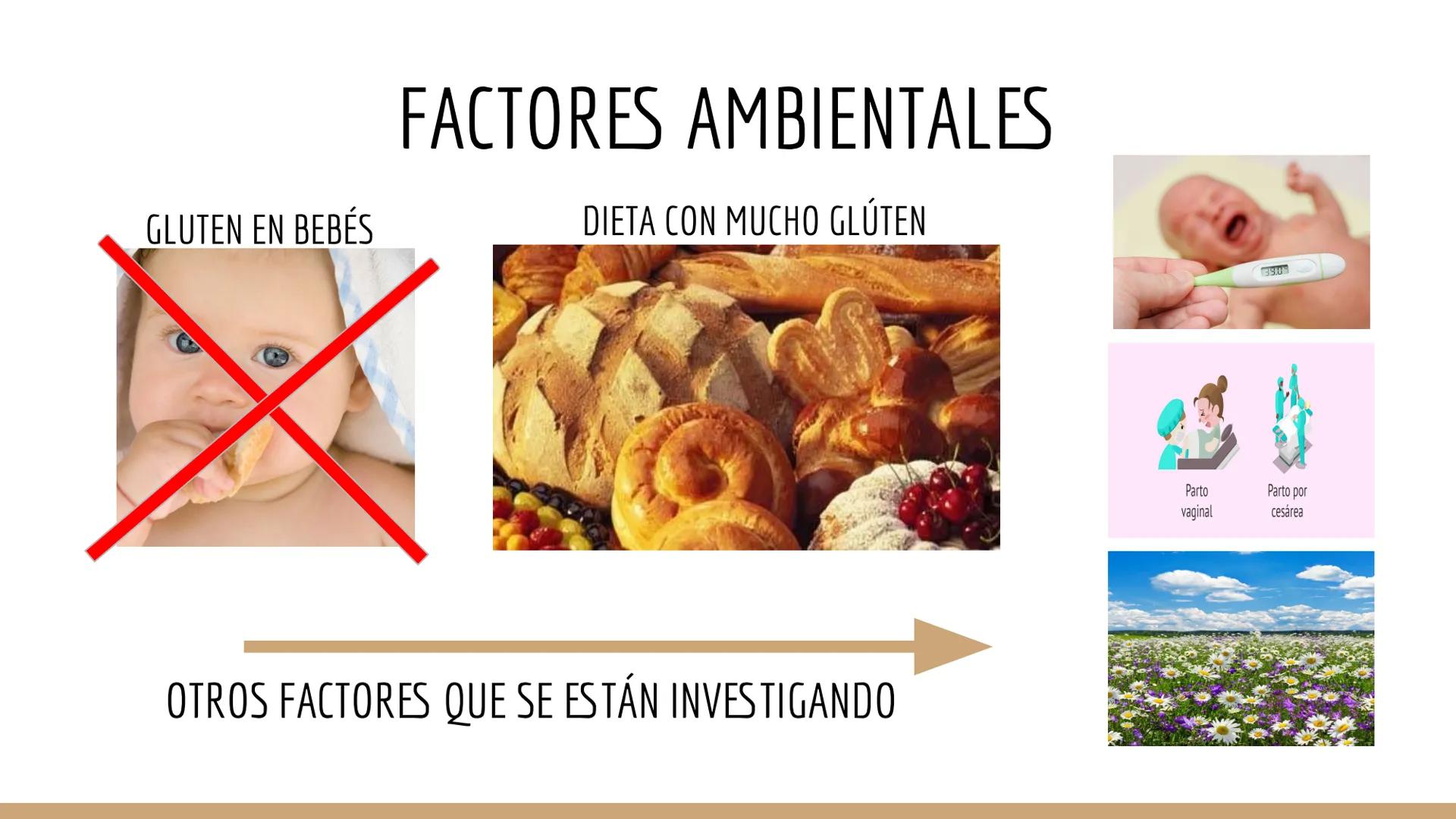 CELIAQUÍA ÍNDICE
1. ¿Qué es la enfermedad celíaca?
2. Diagnóstico de la EC
3. Incidencia
4. Síntomas, factores ambientales y epidemiología
5
