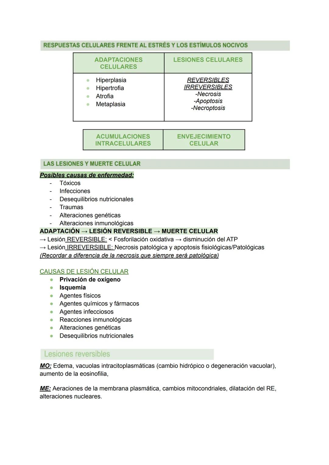 RESPUESTAS CELULARES ANTE EL ESTRÉS Y AGRESIONES EXTERNAS:
ADAPTACIÓN, LESIÓN Y MUERTE CELULAR (I) Y (II). TEMA 1
→ Las células mantienen un