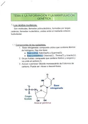 Know Informacion y manipulacion genetica thumbnail