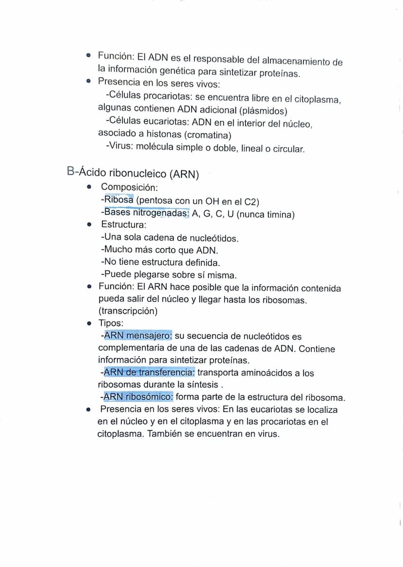 TEMA 4: LA INFORMACIÓN Y LA MANIPULACIÓN
GENÉTICA
1-Los ácidos nucleicos.
Son moléculas, llamadas polinucleótidos, formadas por largas
caden