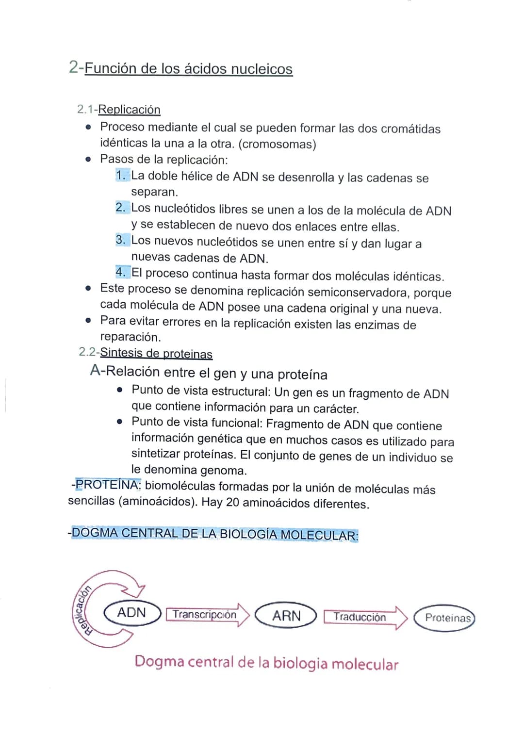 TEMA 4: LA INFORMACIÓN Y LA MANIPULACIÓN
GENÉTICA
1-Los ácidos nucleicos.
Son moléculas, llamadas polinucleótidos, formadas por largas
caden