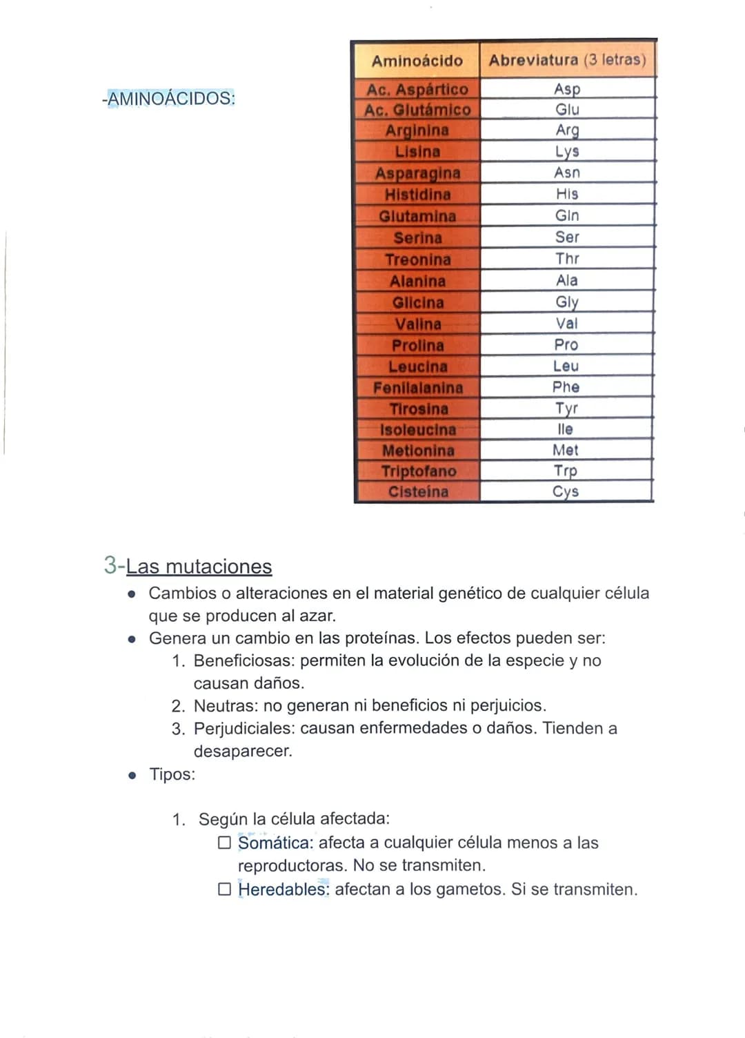 TEMA 4: LA INFORMACIÓN Y LA MANIPULACIÓN
GENÉTICA
1-Los ácidos nucleicos.
Son moléculas, llamadas polinucleótidos, formadas por largas
caden