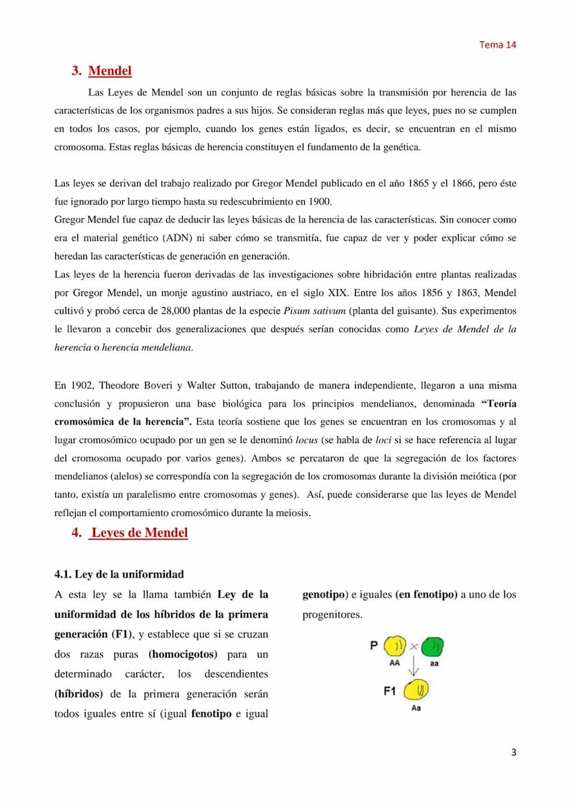 Tema 14 Genética Mendeliana
1. Concepto de genética
Tema 14
La Genética es la parte de la biología que estudia los mecanismos y circunstanci