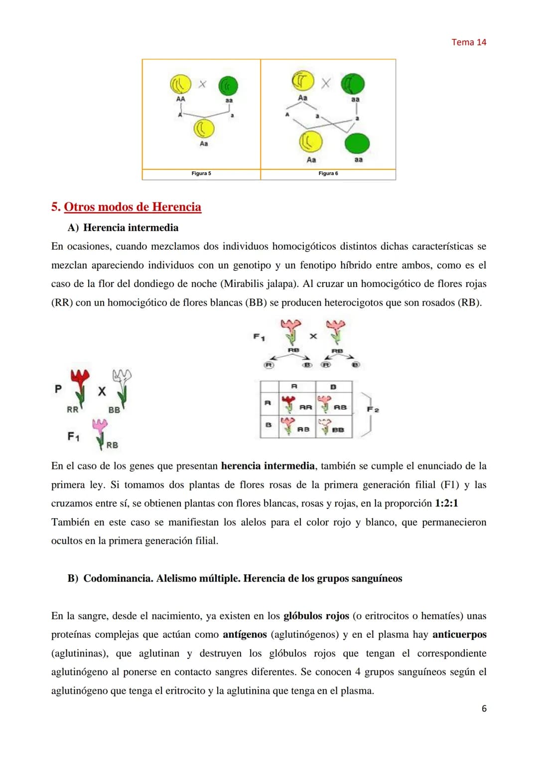Tema 14 Genética Mendeliana
1. Concepto de genética
Tema 14
La Genética es la parte de la biología que estudia los mecanismos y circunstanci