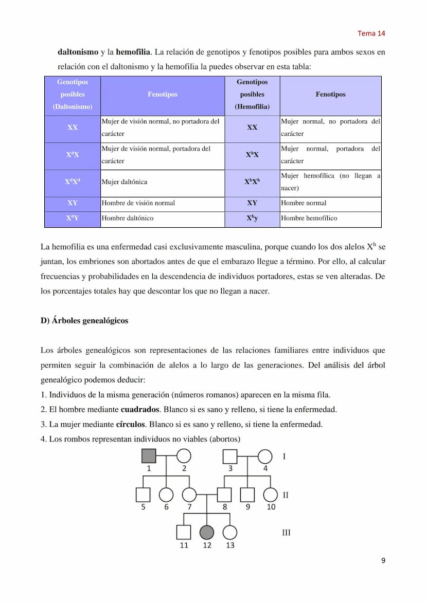 Tema 14 Genética Mendeliana
1. Concepto de genética
Tema 14
La Genética es la parte de la biología que estudia los mecanismos y circunstanci