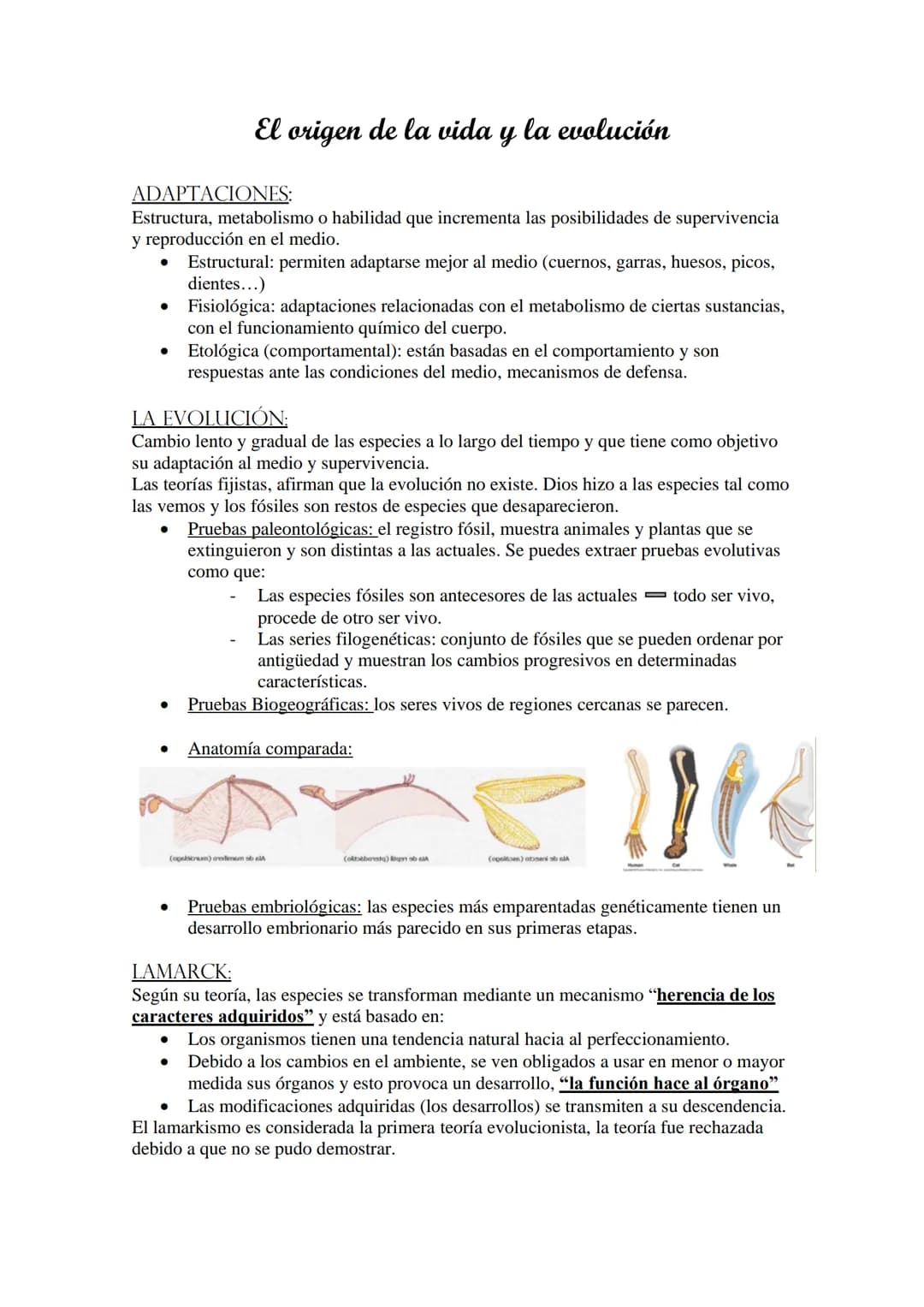 ADAPTACIONES:
Estructura, metabolismo o habilidad que incrementa las posibilidades de supervivencia
y reproducción en el medio.
●
El origen 