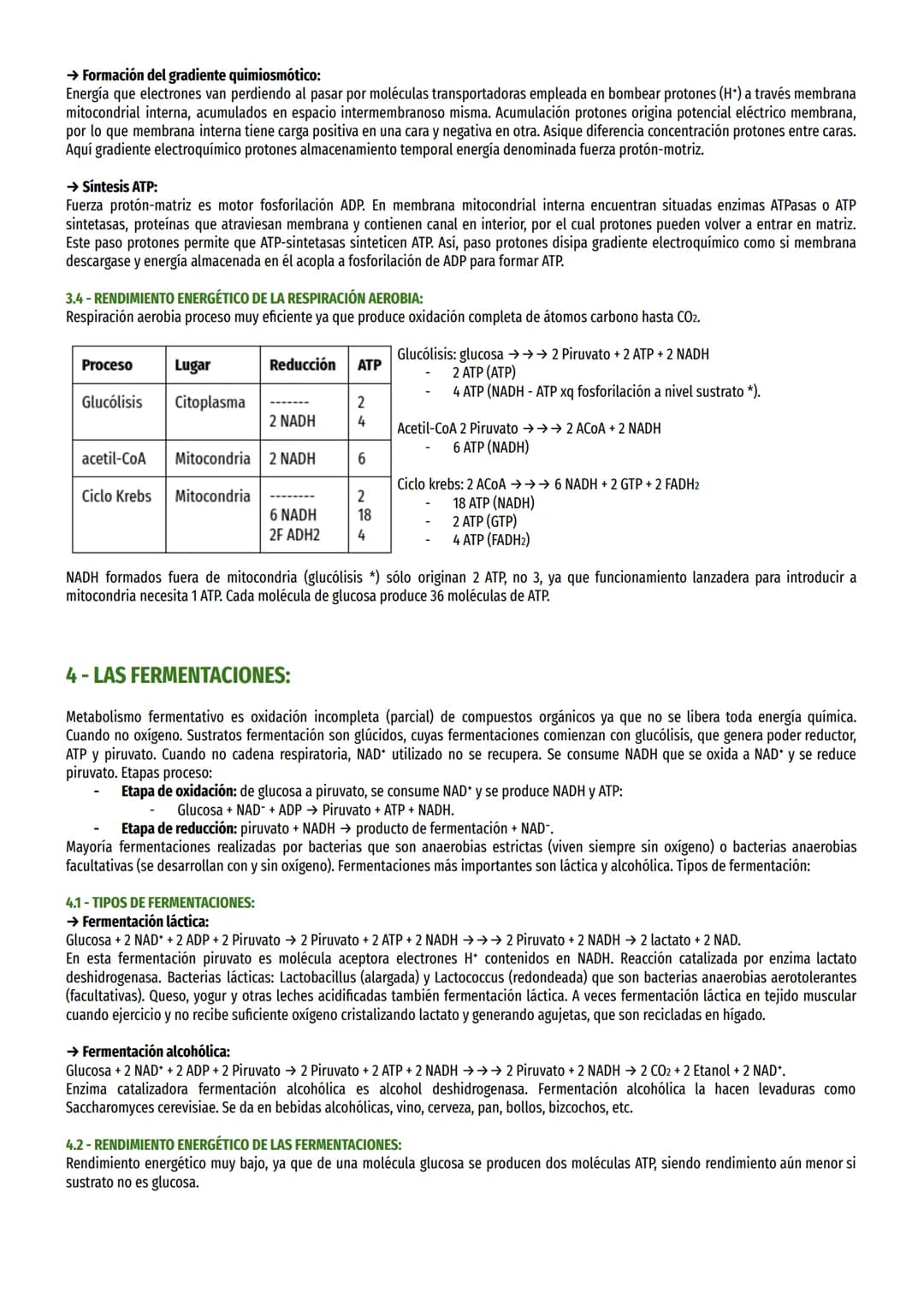 TEMA 13-EL CATABOLISMO:
1- EL CATABOLISMO:
Reacciones catabólicas reacciones de oxidación-reducción (redox) en las que biomolécula orgánica 
