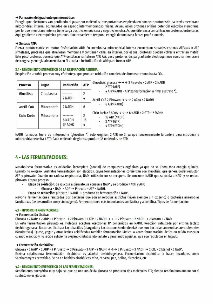 TEMA 13-EL CATABOLISMO:
1- EL CATABOLISMO:
Reacciones catabólicas reacciones de oxidación-reducción (redox) en las que biomolécula orgánica 