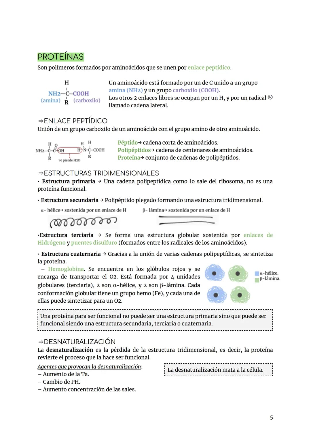 BIOLOGÍA Y GEOLOGÍA TEMA 2
INTRODUCCIÓN
Los bioelementos son aquellos elementos que forman parte de los seres vivos.
Primarios (98%) más abu