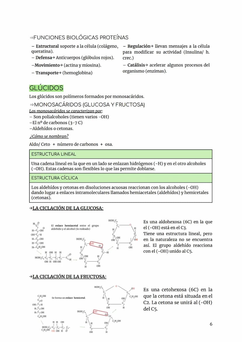 BIOLOGÍA Y GEOLOGÍA TEMA 2
INTRODUCCIÓN
Los bioelementos son aquellos elementos que forman parte de los seres vivos.
Primarios (98%) más abu