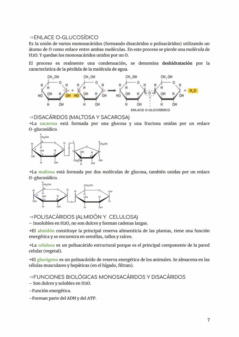 BIOLOGÍA Y GEOLOGÍA TEMA 2
INTRODUCCIÓN
Los bioelementos son aquellos elementos que forman parte de los seres vivos.
Primarios (98%) más abu