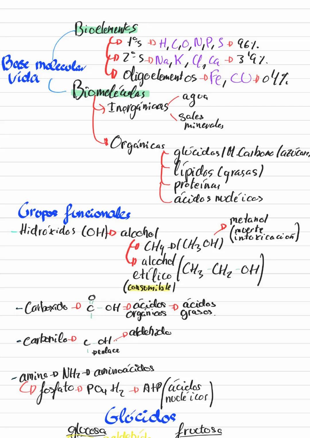 Bioelementos
Eotes ĐH, CON S961
4D 2=S-D Na, K, Cl₂ Ca +3'97.
to oligoelementos ofe, Co.004%
Base molecular
Vida
- Bigmelécolas
Inorgánicas
