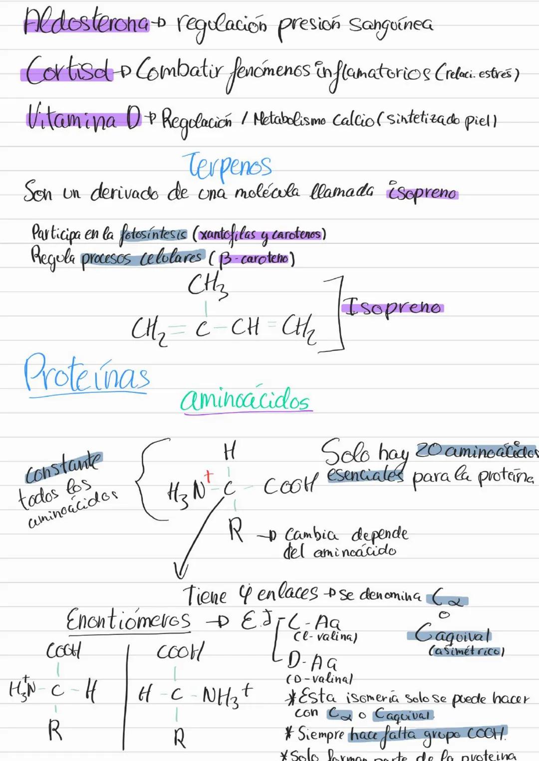 Bioelementos
Eotes ĐH, CON S961
4D 2=S-D Na, K, Cl₂ Ca +3'97.
to oligoelementos ofe, Co.004%
Base molecular
Vida
- Bigmelécolas
Inorgánicas
