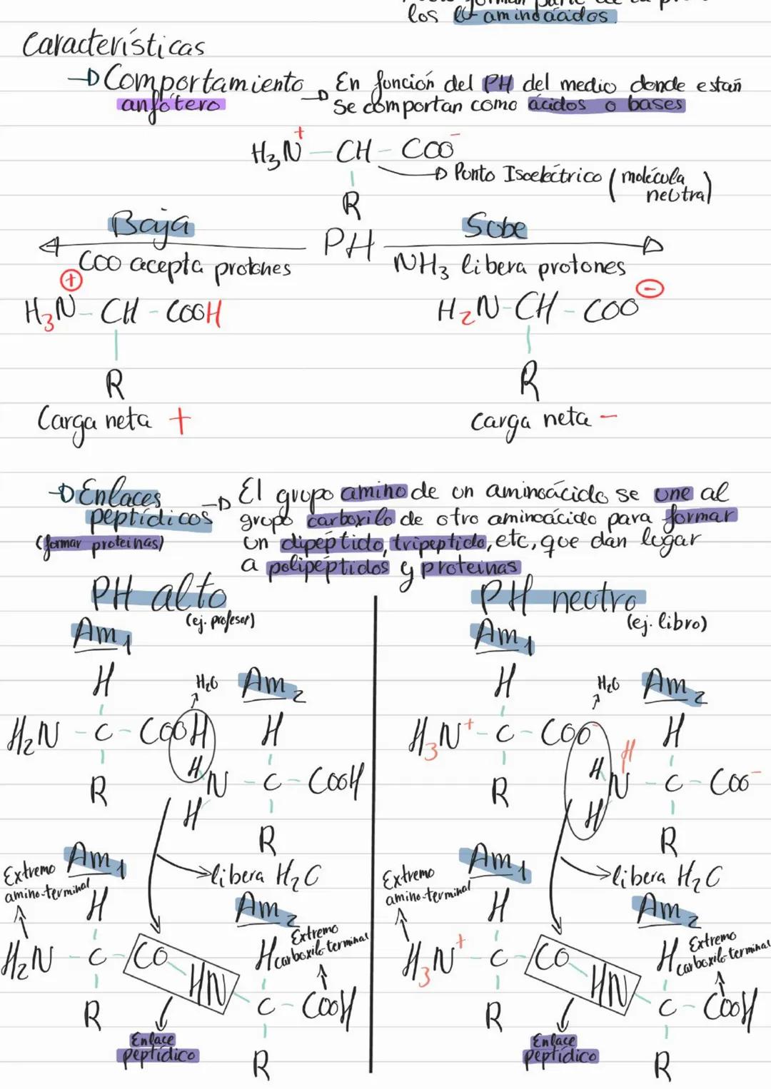 Bioelementos
Eotes ĐH, CON S961
4D 2=S-D Na, K, Cl₂ Ca +3'97.
to oligoelementos ofe, Co.004%
Base molecular
Vida
- Bigmelécolas
Inorgánicas
