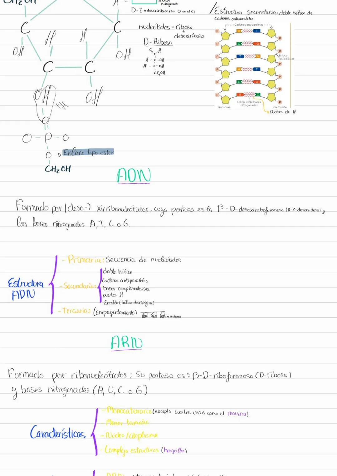 Bioelementos
Eotes ĐH, CON S961
4D 2=S-D Na, K, Cl₂ Ca +3'97.
to oligoelementos ofe, Co.004%
Base molecular
Vida
- Bigmelécolas
Inorgánicas
