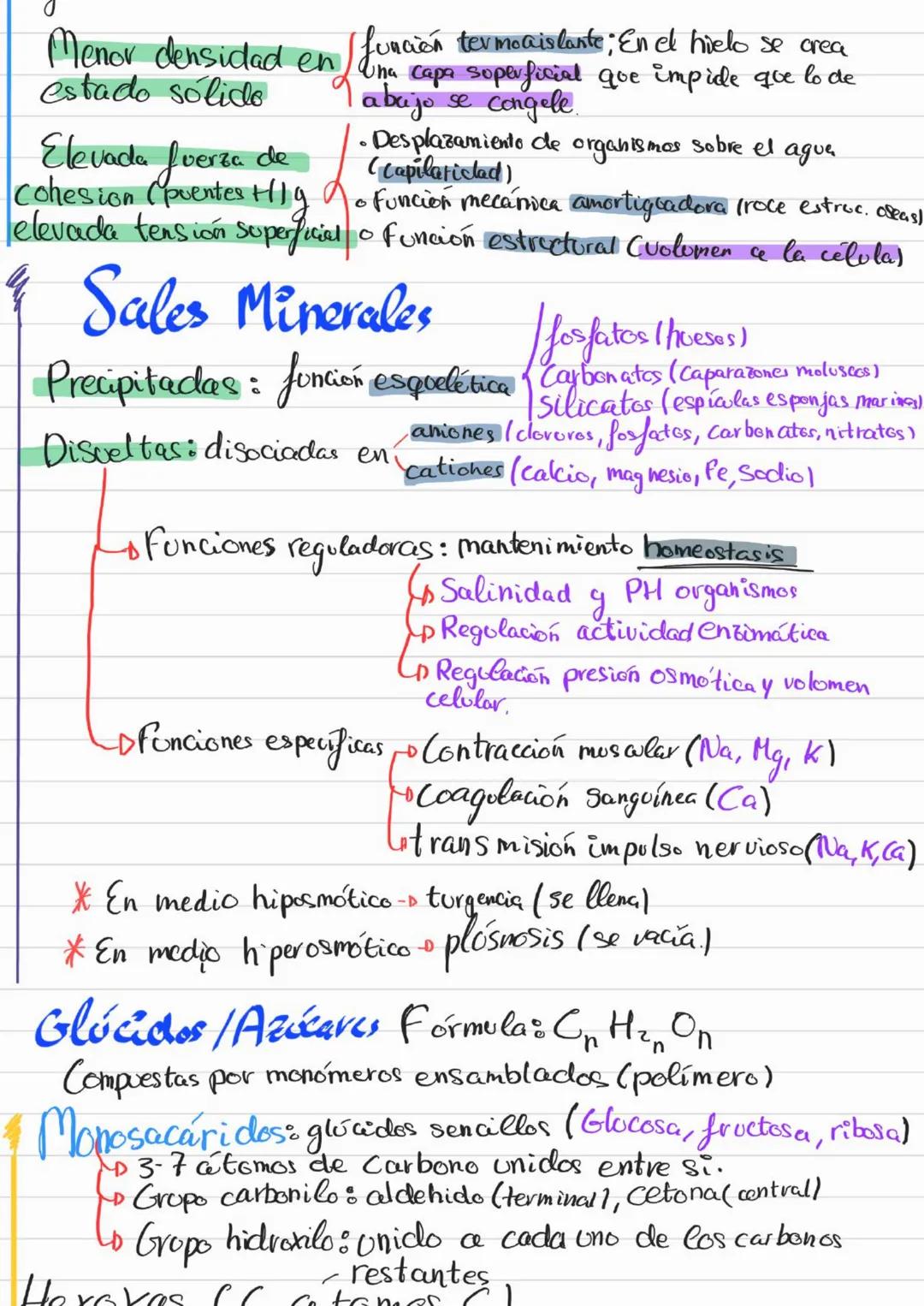 Bioelementos
Eotes ĐH, CON S961
4D 2=S-D Na, K, Cl₂ Ca +3'97.
to oligoelementos ofe, Co.004%
Base molecular
Vida
- Bigmelécolas
Inorgánicas
