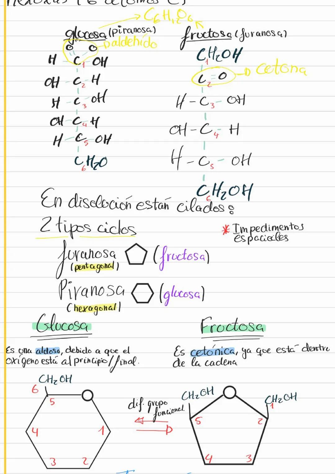 Bioelementos
Eotes ĐH, CON S961
4D 2=S-D Na, K, Cl₂ Ca +3'97.
to oligoelementos ofe, Co.004%
Base molecular
Vida
- Bigmelécolas
Inorgánicas
