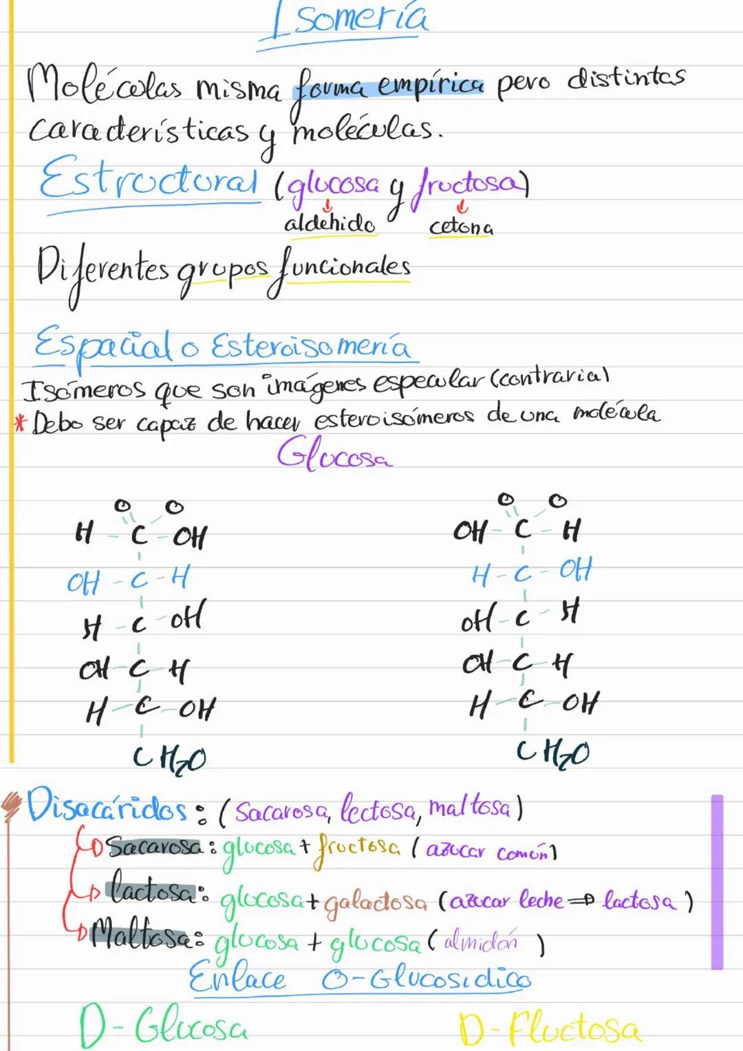 Bioelementos
Eotes ĐH, CON S961
4D 2=S-D Na, K, Cl₂ Ca +3'97.
to oligoelementos ofe, Co.004%
Base molecular
Vida
- Bigmelécolas
Inorgánicas
