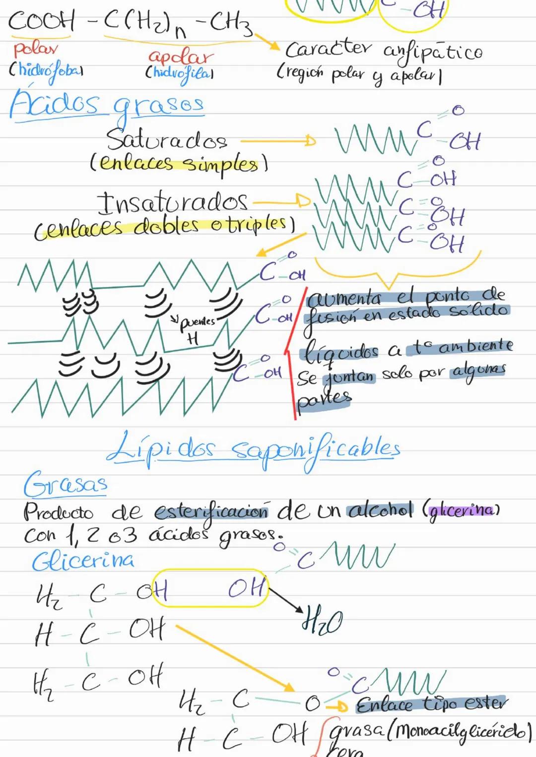 Bioelementos
Eotes ĐH, CON S961
4D 2=S-D Na, K, Cl₂ Ca +3'97.
to oligoelementos ofe, Co.004%
Base molecular
Vida
- Bigmelécolas
Inorgánicas
