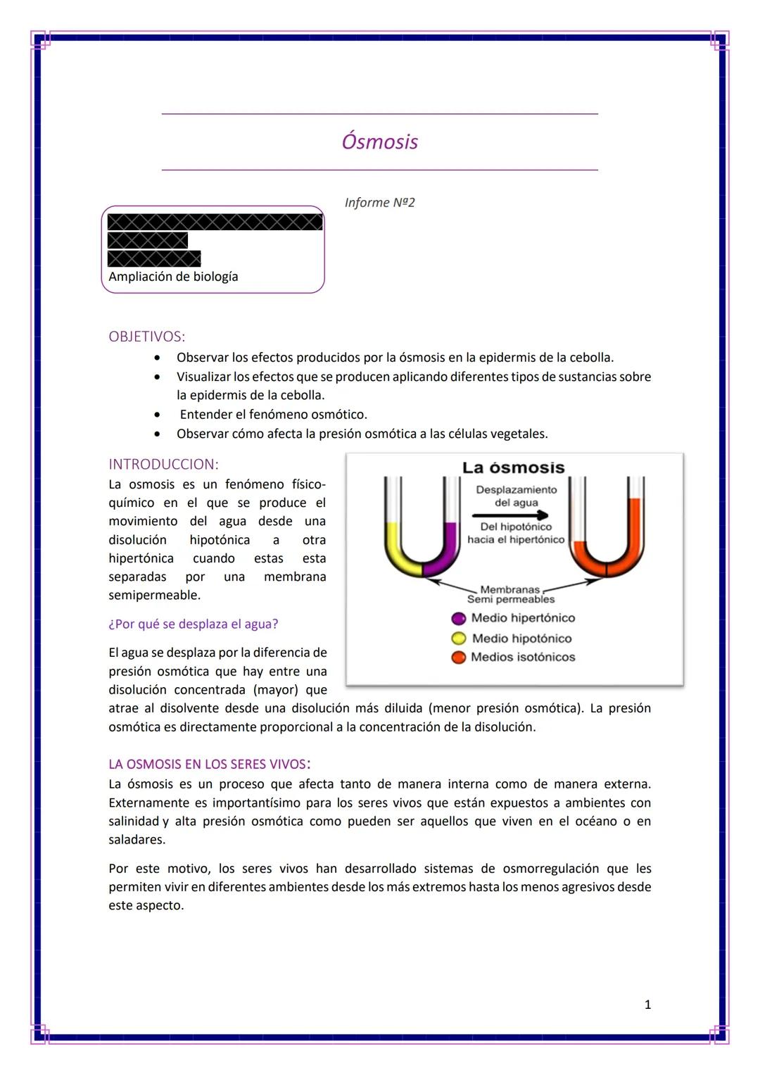Ampliación de biología
OBJETIVOS:
●
Ósmosis
Informe Nº2
Observar los efectos producidos por la ósmosis en la epidermis de la cebolla.
Visual