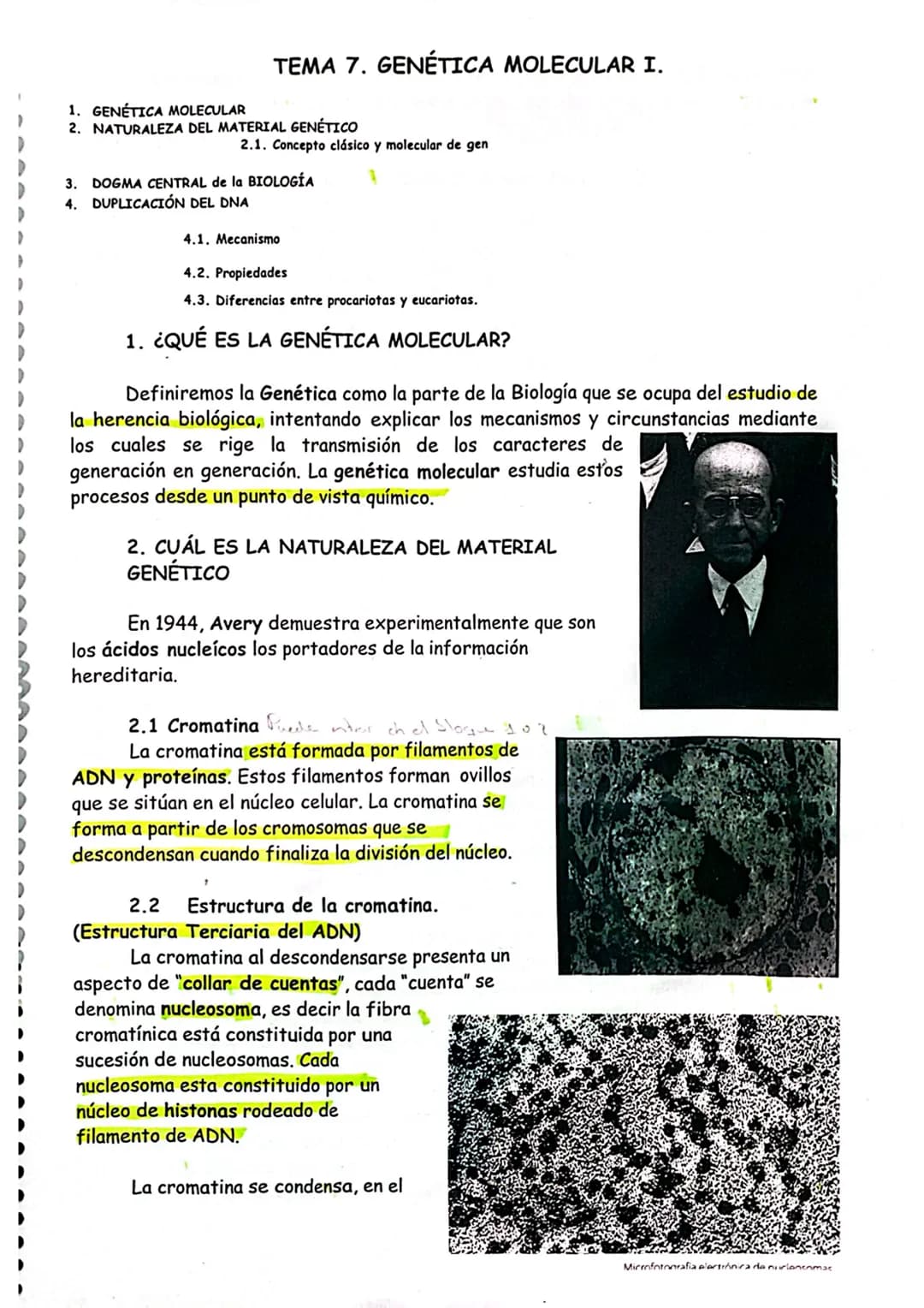 # TEMA 7. GENÉTICA MOLECULAR I.

1. GENÉTICA MOLECULAR
2. NATURALEZA DEL MATERIAL GENÉTICO
2.1. Concepto clásico y molecular de gen
3. DOGMA