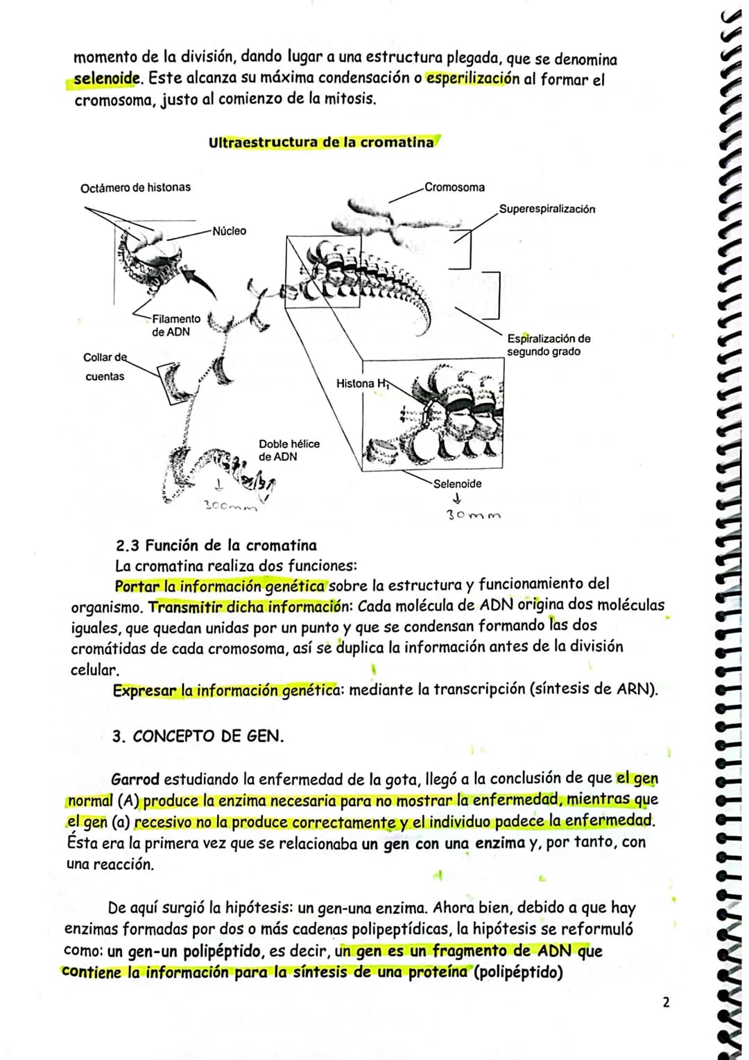 # TEMA 7. GENÉTICA MOLECULAR I.

1. GENÉTICA MOLECULAR
2. NATURALEZA DEL MATERIAL GENÉTICO
2.1. Concepto clásico y molecular de gen
3. DOGMA