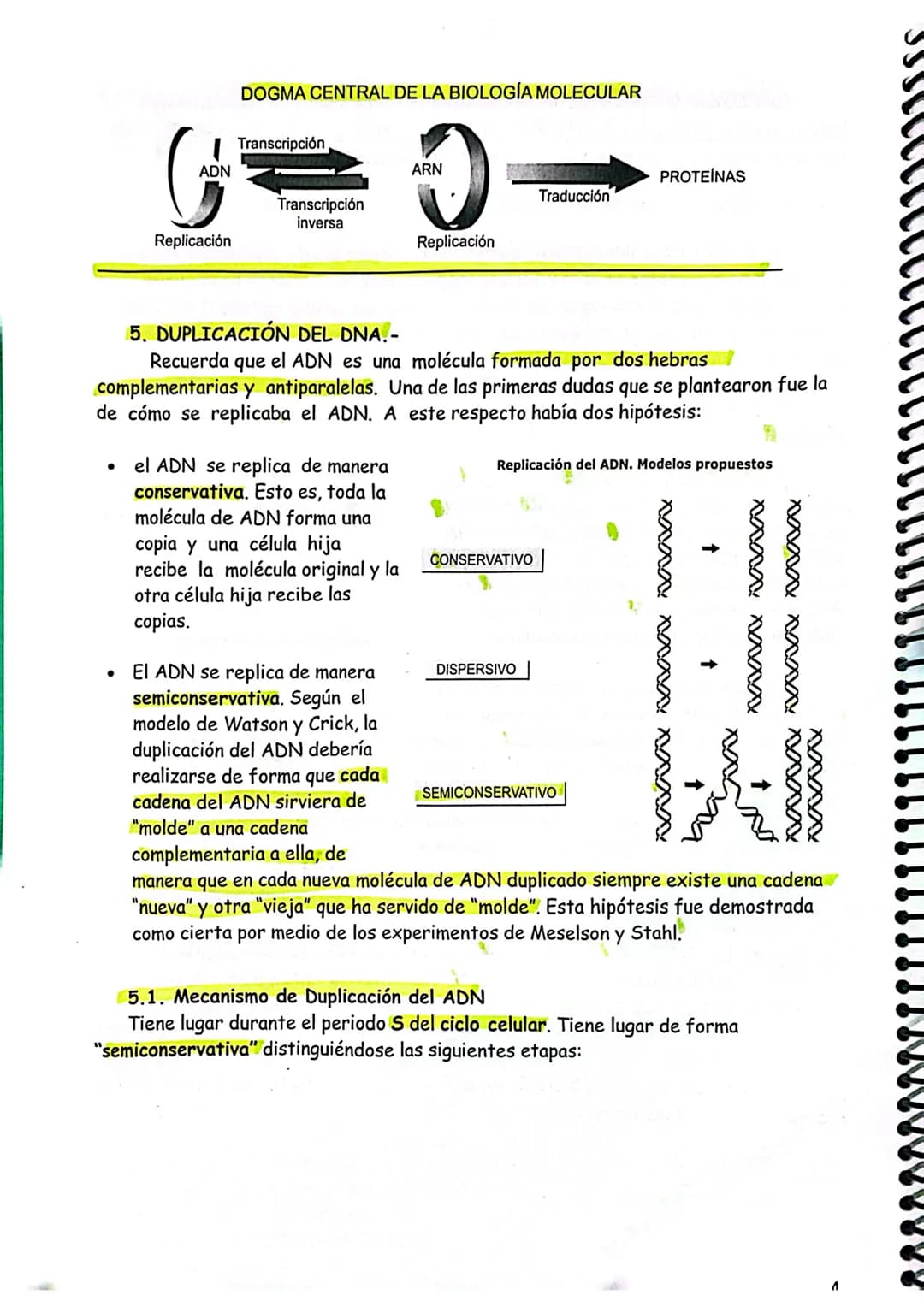 # TEMA 7. GENÉTICA MOLECULAR I.

1. GENÉTICA MOLECULAR
2. NATURALEZA DEL MATERIAL GENÉTICO
2.1. Concepto clásico y molecular de gen
3. DOGMA
