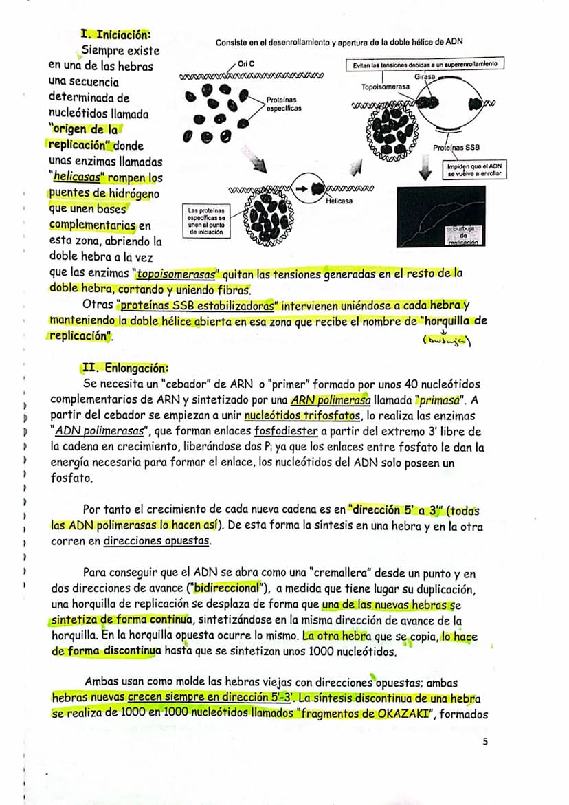 # TEMA 7. GENÉTICA MOLECULAR I.

1. GENÉTICA MOLECULAR
2. NATURALEZA DEL MATERIAL GENÉTICO
2.1. Concepto clásico y molecular de gen
3. DOGMA