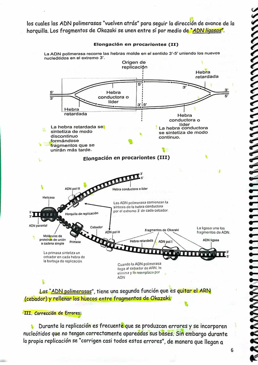 # TEMA 7. GENÉTICA MOLECULAR I.

1. GENÉTICA MOLECULAR
2. NATURALEZA DEL MATERIAL GENÉTICO
2.1. Concepto clásico y molecular de gen
3. DOGMA