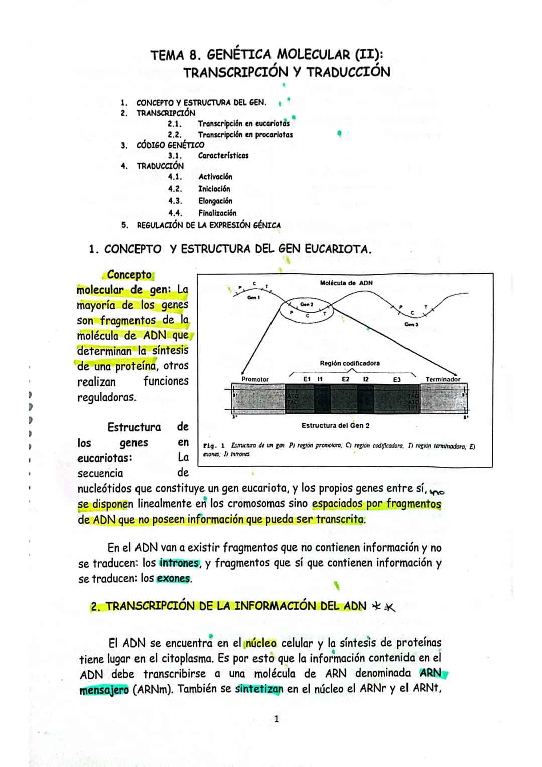 # TEMA 7. GENÉTICA MOLECULAR I.

1. GENÉTICA MOLECULAR
2. NATURALEZA DEL MATERIAL GENÉTICO
2.1. Concepto clásico y molecular de gen
3. DOGMA