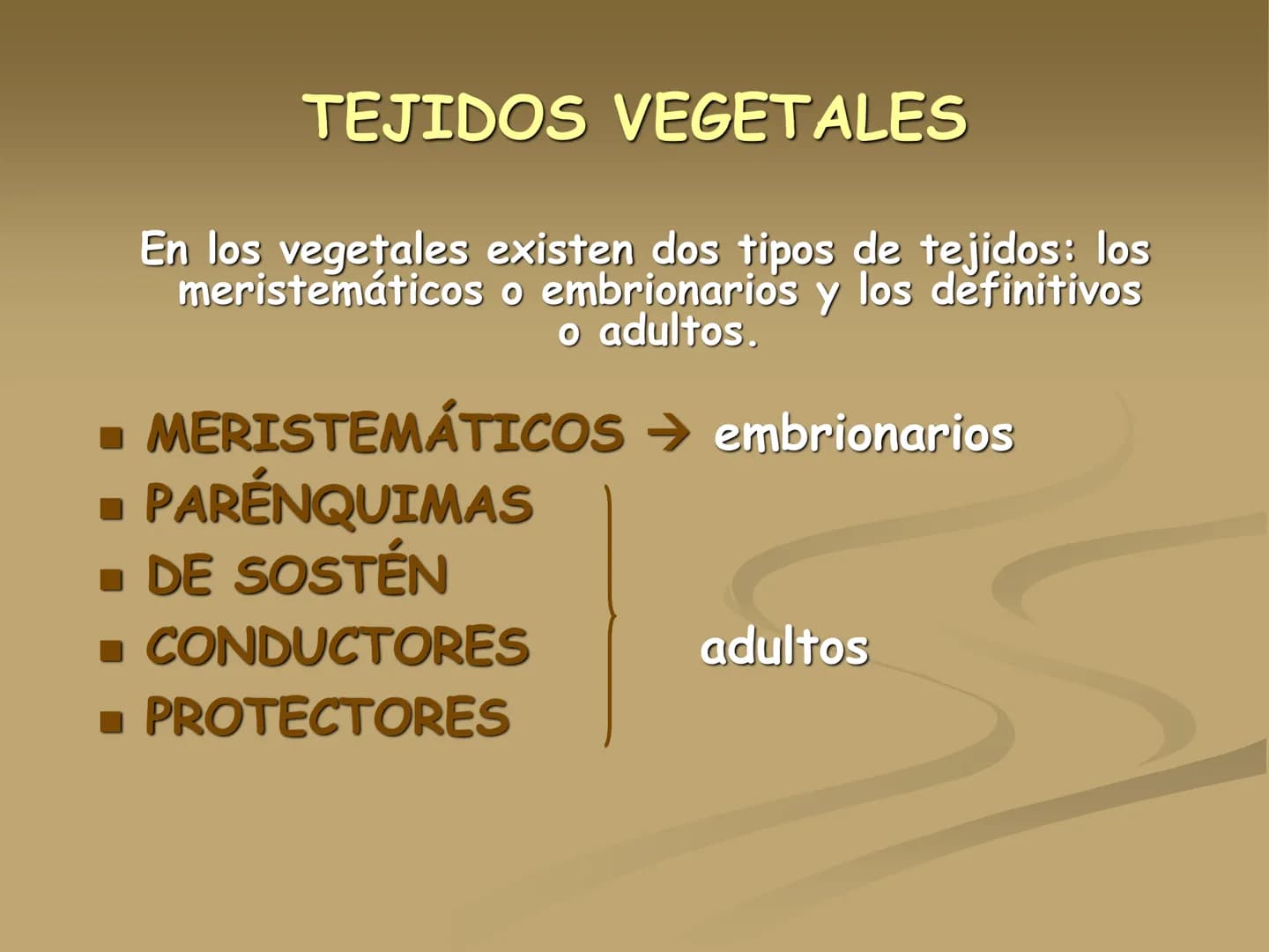 LOS TEJIDOS
VEGETALES TEJIDOS VEGETALES
En los vegetales existen dos tipos de tejidos: los
meristemáticos o embrionarios y los definitivos
o