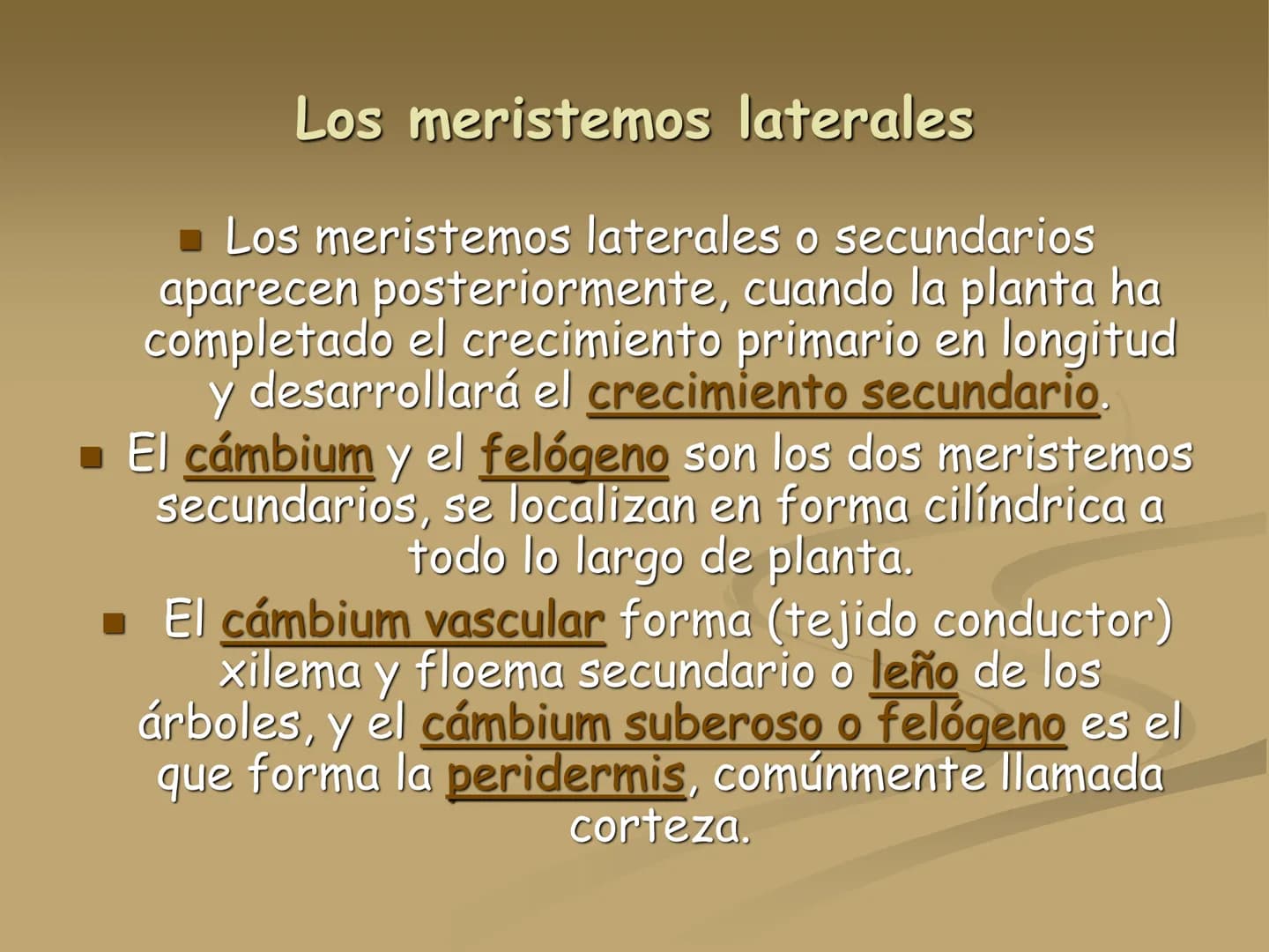 LOS TEJIDOS
VEGETALES TEJIDOS VEGETALES
En los vegetales existen dos tipos de tejidos: los
meristemáticos o embrionarios y los definitivos
o