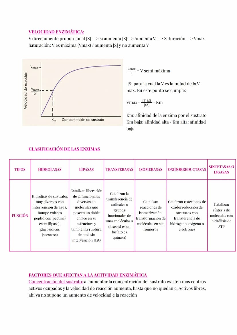 Proteínas catalizan las reacciones del metabolismo disminuyendo E activamente (energía
necesaria para que la reacción comience).
Enzimas:
Si