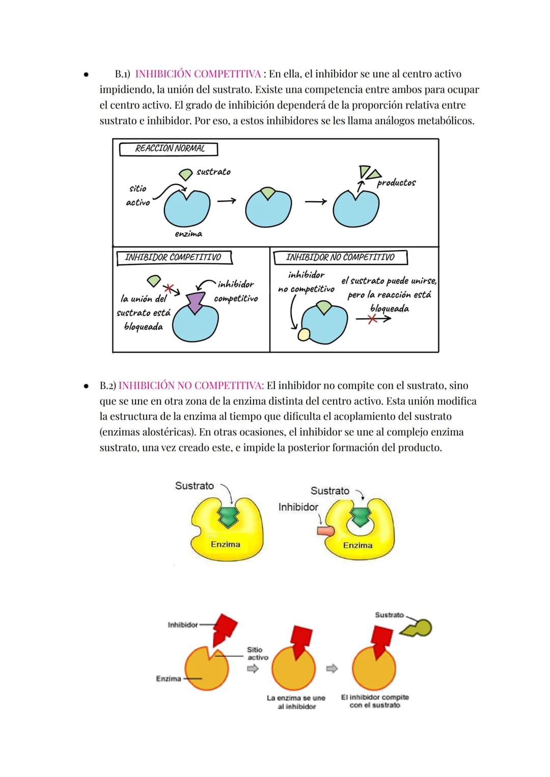 Proteínas catalizan las reacciones del metabolismo disminuyendo E activamente (energía
necesaria para que la reacción comience).
Enzimas:
Si