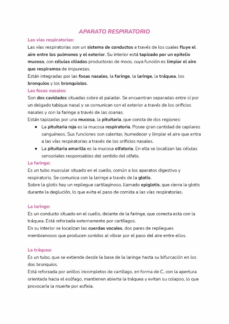 Know Aparato respiratorio y excretor  thumbnail