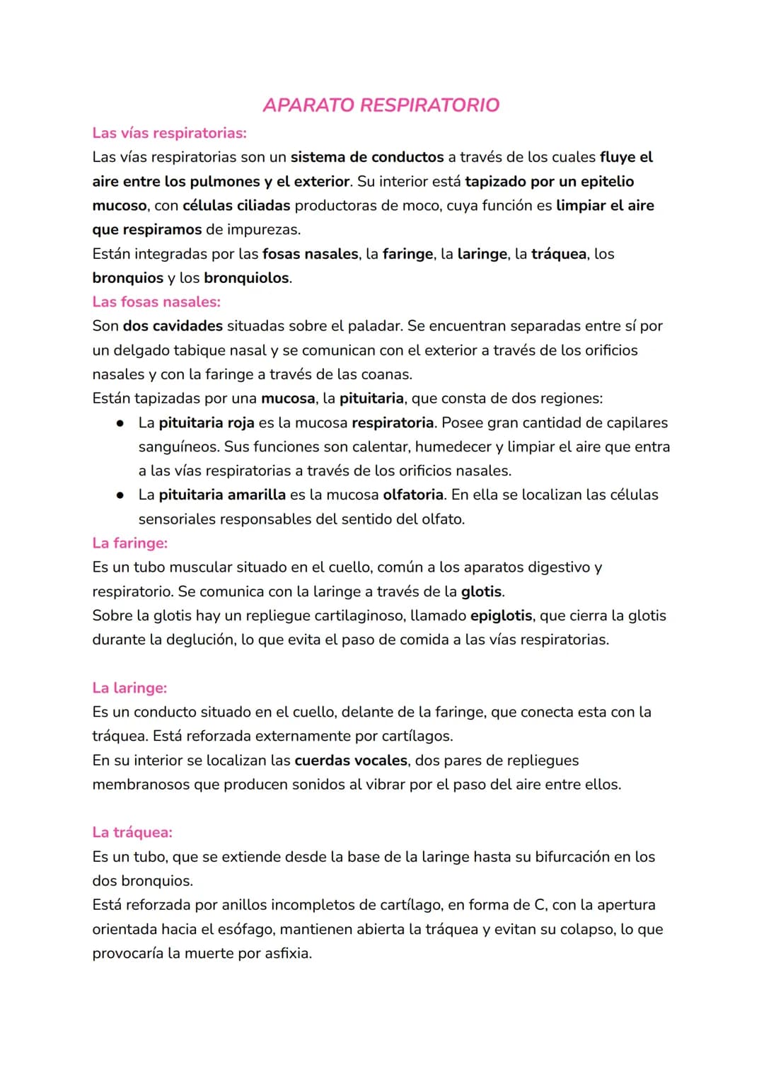 APARATO RESPIRATORIO
Las vías respiratorias:
Las vías respiratorias son un sistema de conductos a través de los cuales fluye el
aire entre l
