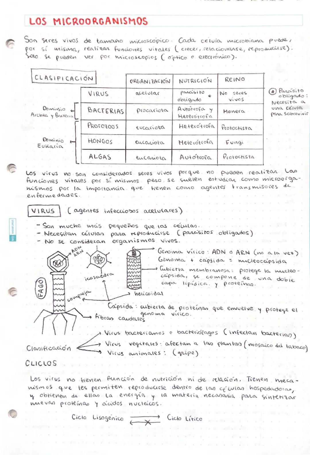 Microorganismos: Virus y Bacterias