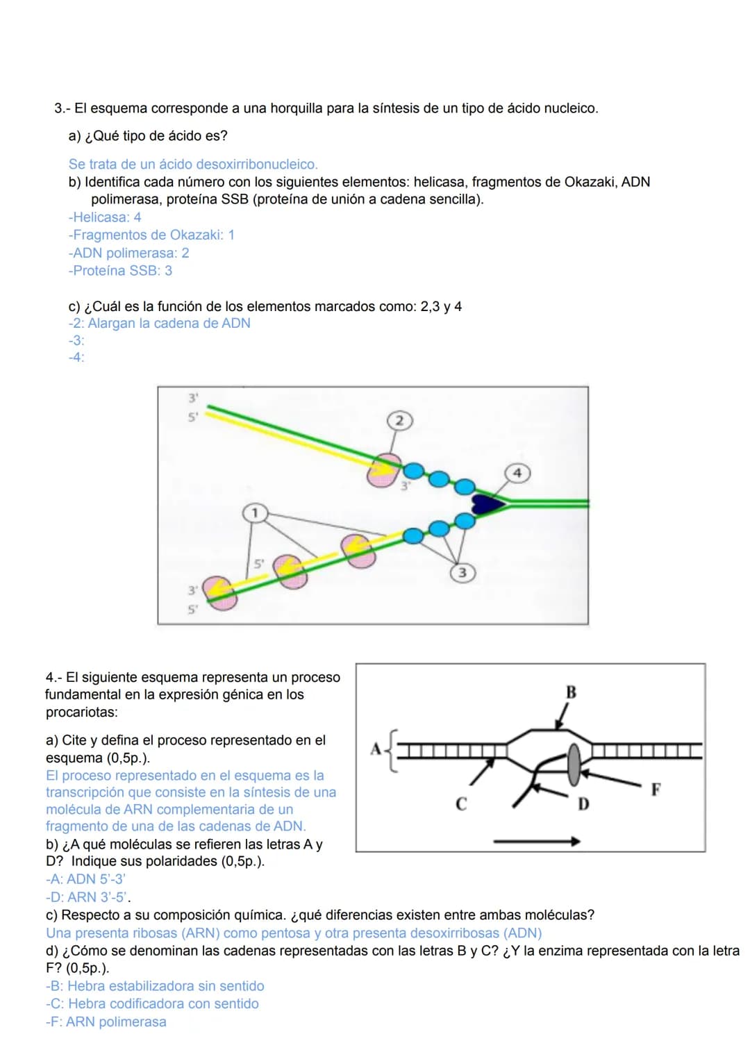 1.-
2º BACHILLERATO BIOLOGÍA 3ª EVALUACIÓN UNIDAD 15.- GENÉTICA MOLECULAR
2.-
3ªEVALUACIÓN
UNIDAD 15: ACTIVIDADES DE GENÉTICA MOLECULAR
Obse
