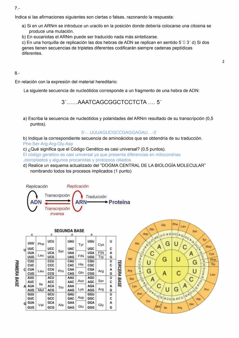 1.-
2º BACHILLERATO BIOLOGÍA 3ª EVALUACIÓN UNIDAD 15.- GENÉTICA MOLECULAR
2.-
3ªEVALUACIÓN
UNIDAD 15: ACTIVIDADES DE GENÉTICA MOLECULAR
Obse