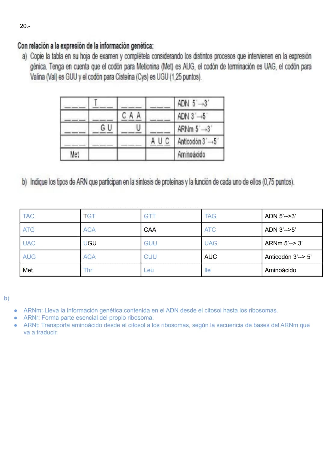 1.-
2º BACHILLERATO BIOLOGÍA 3ª EVALUACIÓN UNIDAD 15.- GENÉTICA MOLECULAR
2.-
3ªEVALUACIÓN
UNIDAD 15: ACTIVIDADES DE GENÉTICA MOLECULAR
Obse