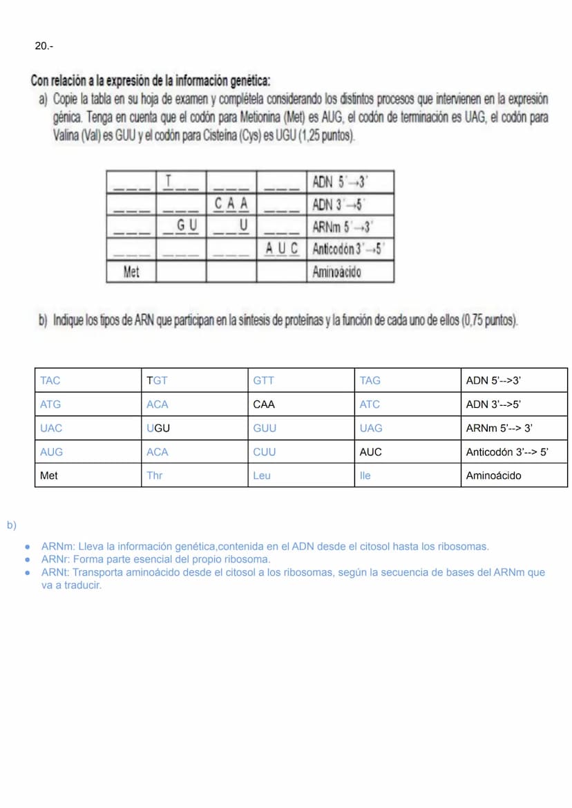 1.-
2º BACHILLERATO BIOLOGÍA 3ª EVALUACIÓN UNIDAD 15.- GENÉTICA MOLECULAR
2.-
3ªEVALUACIÓN
UNIDAD 15: ACTIVIDADES DE GENÉTICA MOLECULAR
Obse