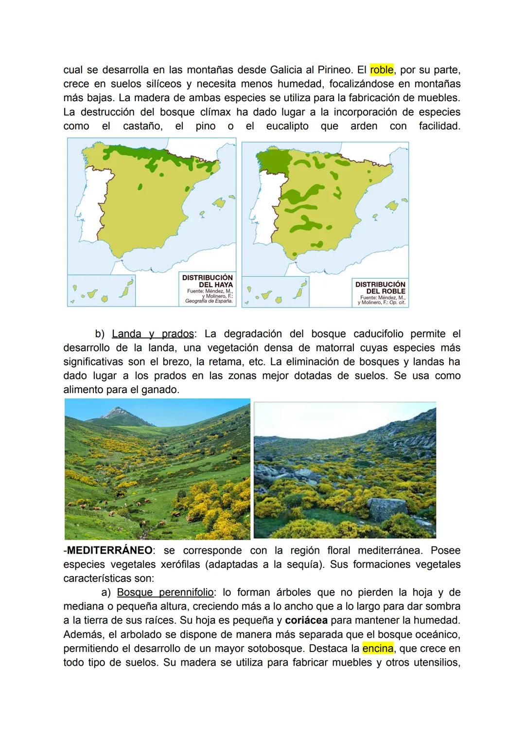 # TEMA 5: LAS REGIONES BIOGEOGRÁFICAS DE ESPAÑA

1.INTRODUCCIÓN

La biogeografía es la ciencia que estudia la distribución de los seres vivo