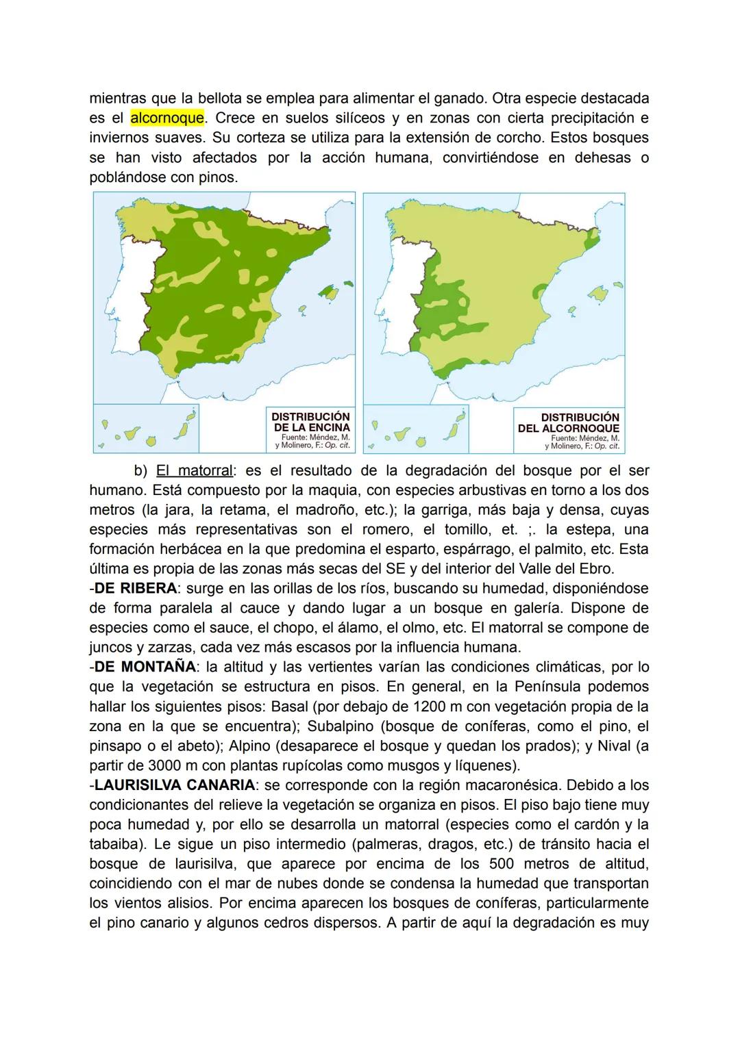 # TEMA 5: LAS REGIONES BIOGEOGRÁFICAS DE ESPAÑA

1.INTRODUCCIÓN

La biogeografía es la ciencia que estudia la distribución de los seres vivo