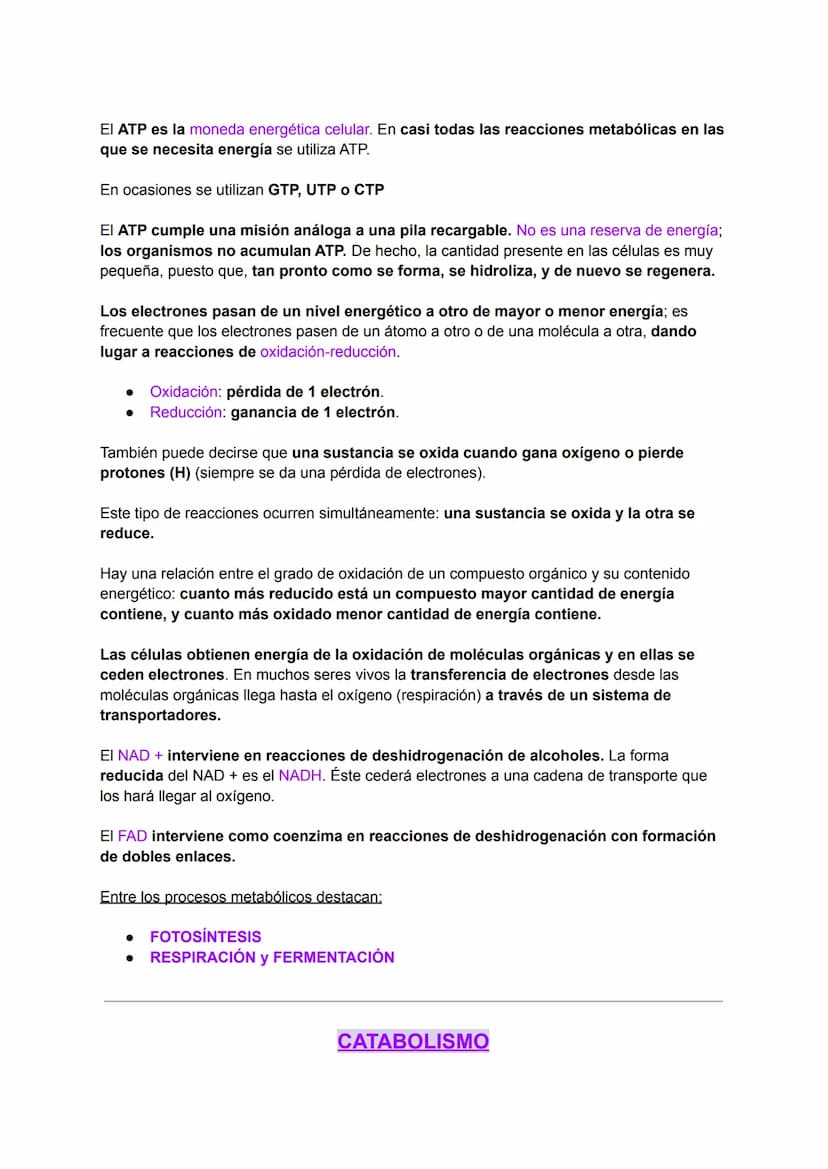 INTRODUCCIÓN AL METABOLISMO: CATABOLISMO Y
ANABOLISMO
Metabolismo
C
El metabolismo celular comprende todas las transformaciones químicas que
