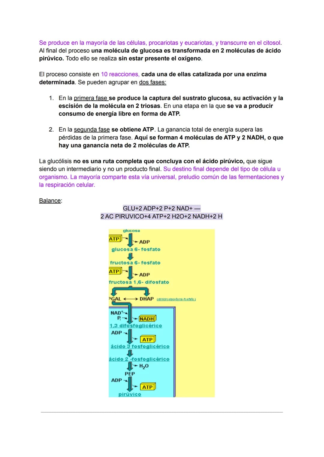 INTRODUCCIÓN AL METABOLISMO: CATABOLISMO Y
ANABOLISMO
Metabolismo
C
El metabolismo celular comprende todas las transformaciones químicas que