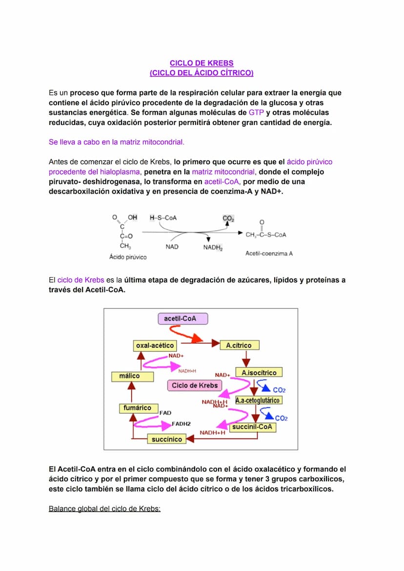 INTRODUCCIÓN AL METABOLISMO: CATABOLISMO Y
ANABOLISMO
Metabolismo
C
El metabolismo celular comprende todas las transformaciones químicas que