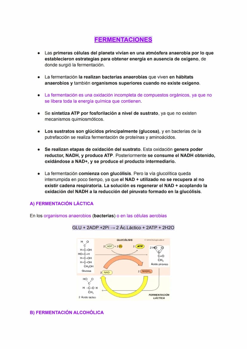 INTRODUCCIÓN AL METABOLISMO: CATABOLISMO Y
ANABOLISMO
Metabolismo
C
El metabolismo celular comprende todas las transformaciones químicas que