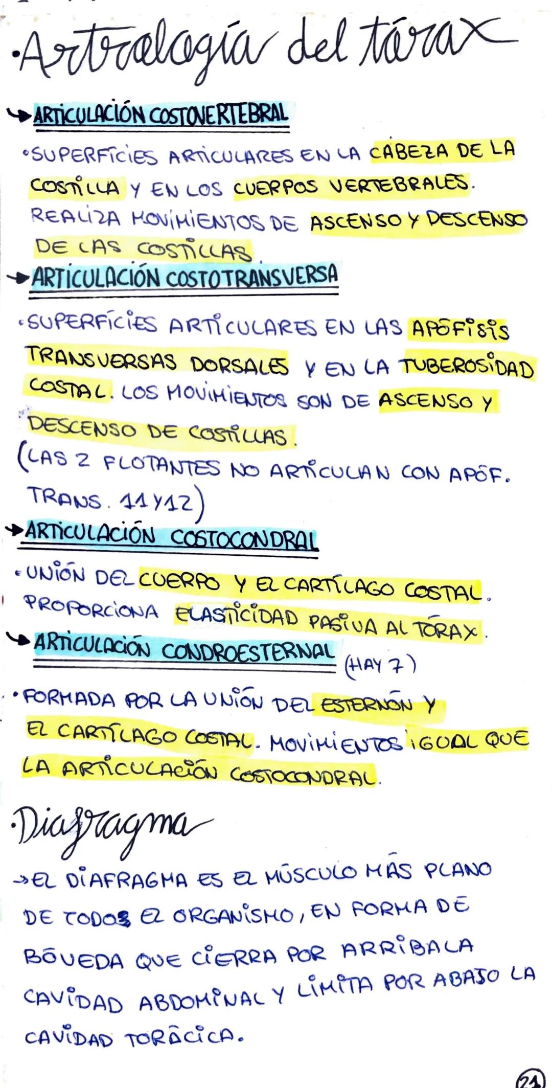 eletoras
ати
Ċ
¿QUE ES?
UNA CAVIDAD
ESTRUCTURA FORMADA POR 12 VERTEBRAS
TORÁCICAS (DORSALES), 12 PARES DE
COSTILLAS, CARTILAGOS COSTALES Y E