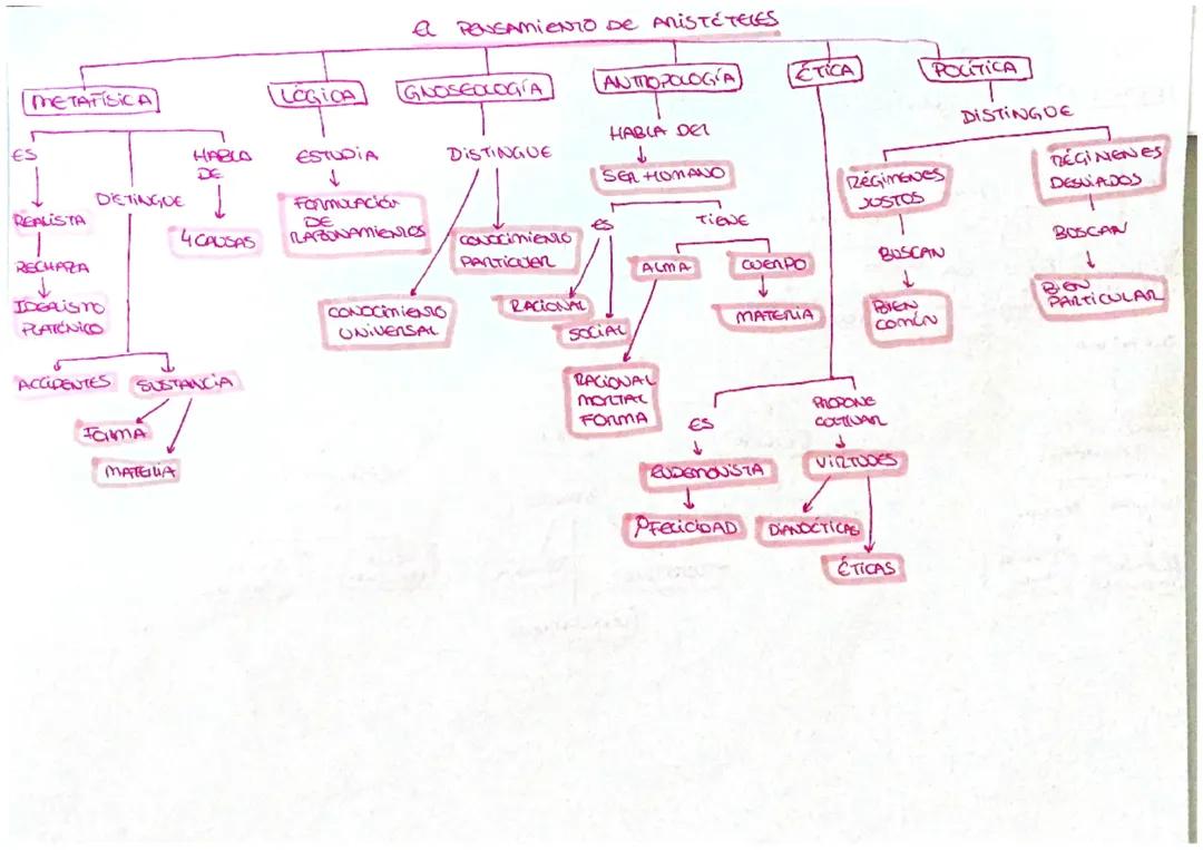 Pensamientos de Platón y Aristóteles 