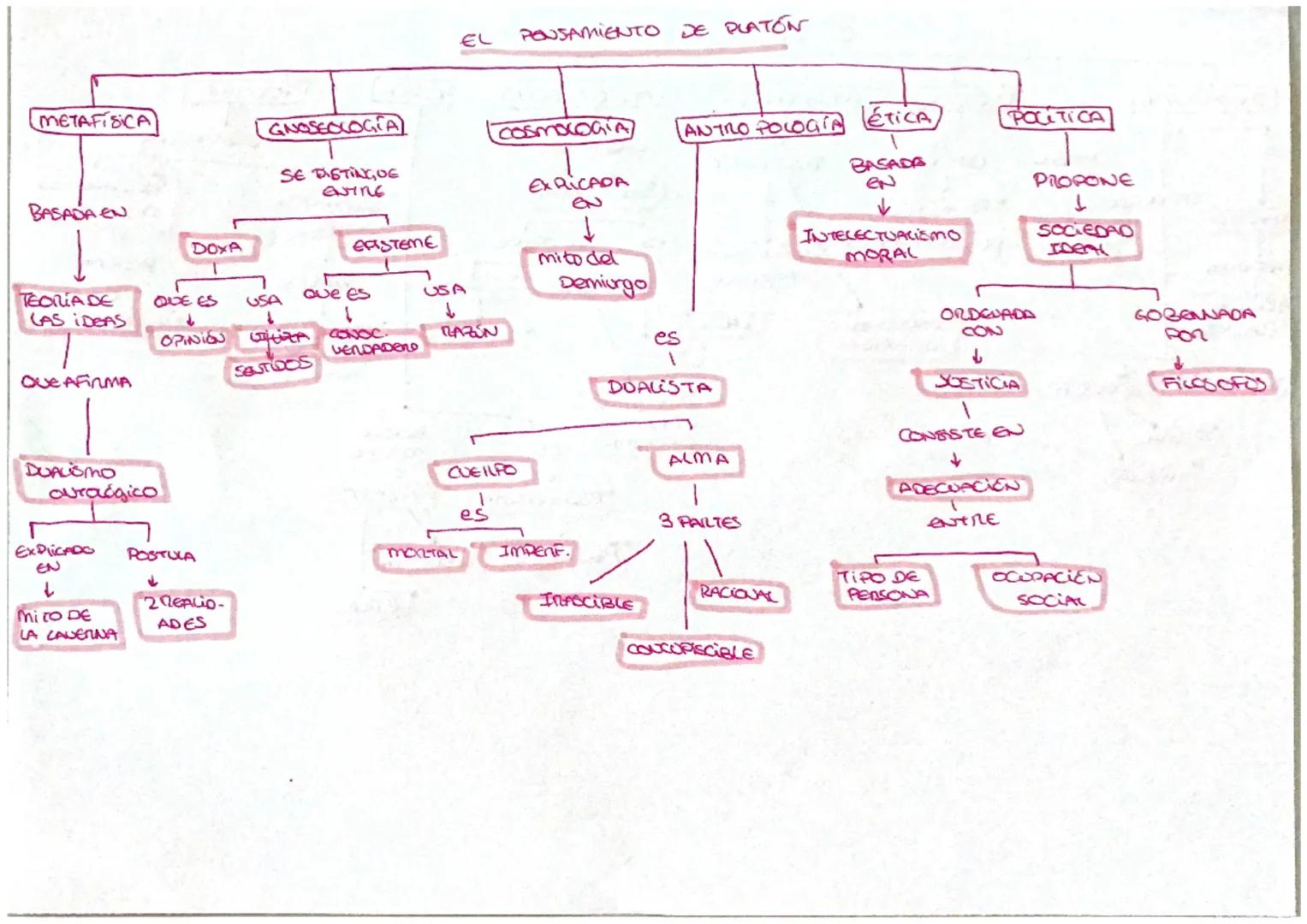 METAFISICA
ES
REALISTA
DISTINGUE 1
RECHARZA
↓
IDEALISMO
PLATENICO
FOMA
HABLO ESTUDIA
ACCIDENTES SUSTANCIA
31
MATEILIA
4 CAUSAS
LOGICA
A PENS